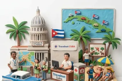 Asistencia profesional durante tu viaje
